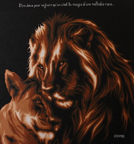 Felinit&eacute; 9 - 77x73cm