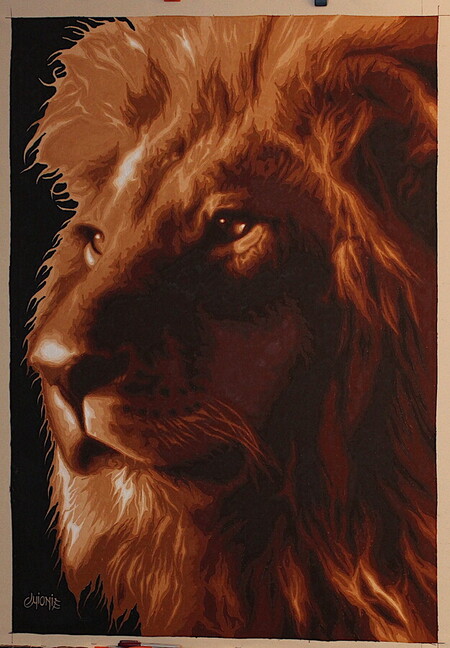 f&eacute;linit&eacute; - 140x110cm - tissu toil&eacute; - vendu