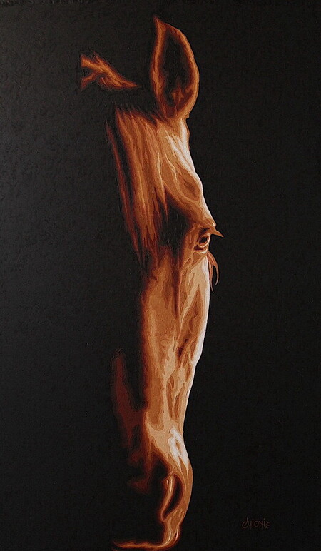 cheval 1 - 135x80cm - tissu toil&eacute; - vendu